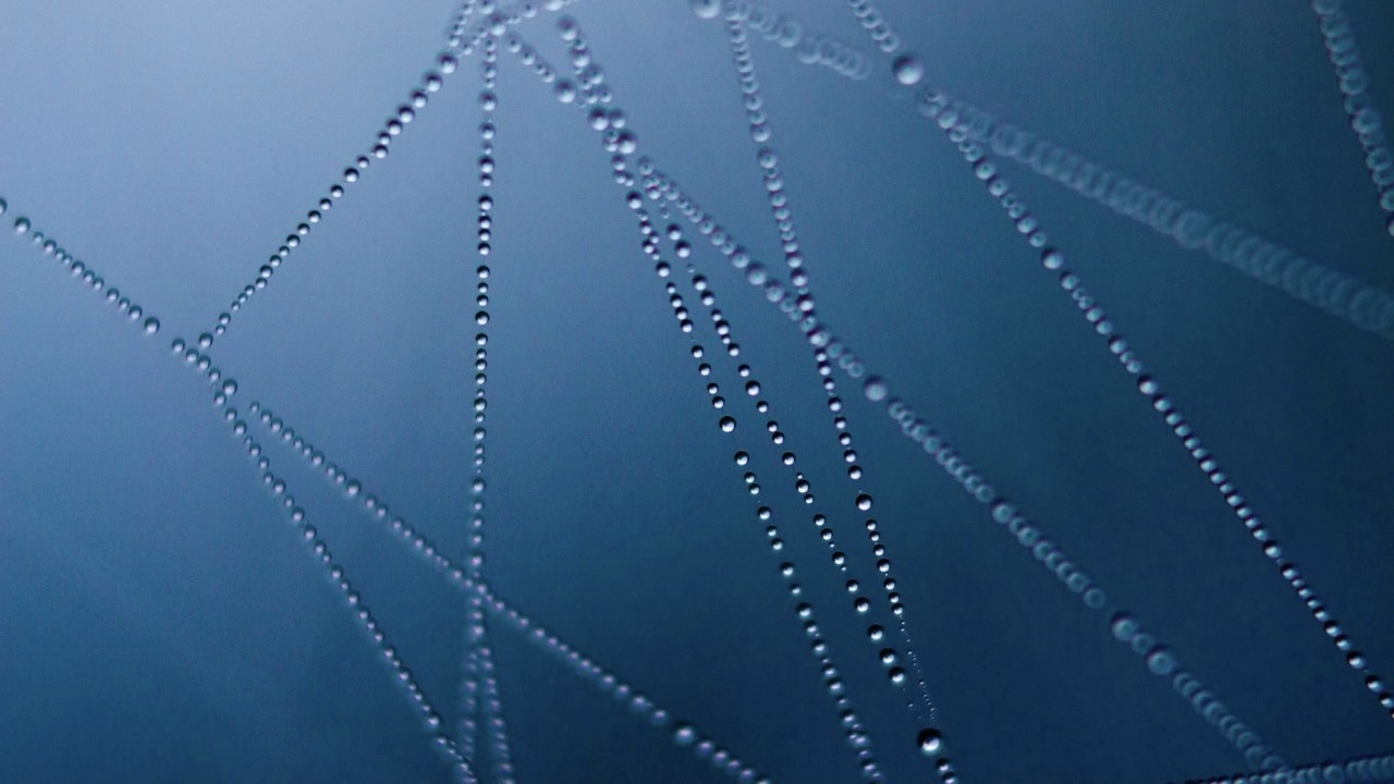 In verbinding leer ik!